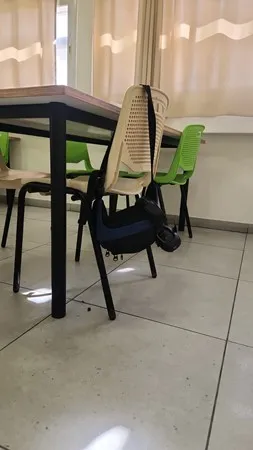עש לילה