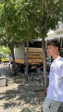 רוי ט