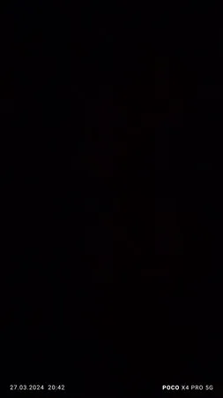 ניקיטוסיק