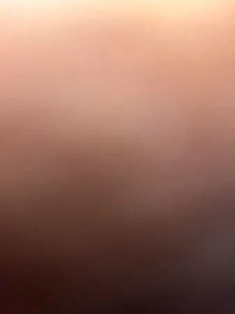 חגיגhhsh