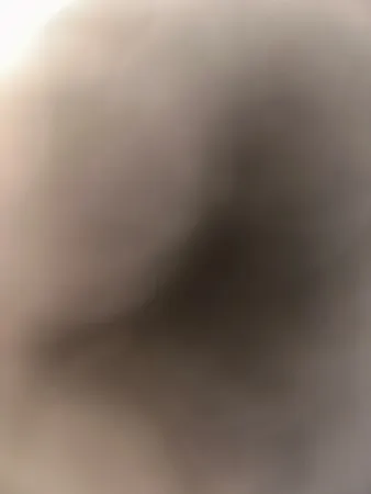 ארה״ב 