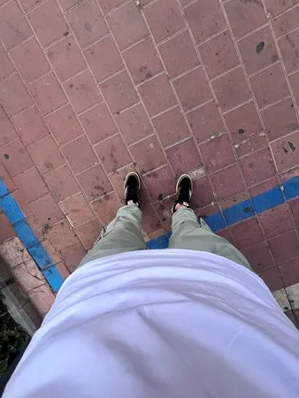 Aviv2006