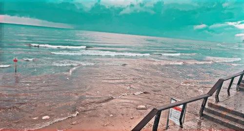 Saif taweel