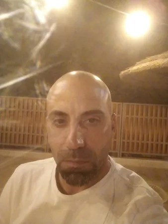 אריה 986