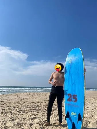דן1266