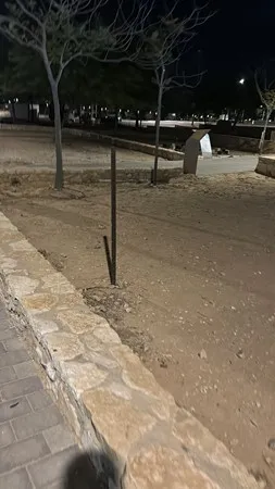 רפאל918