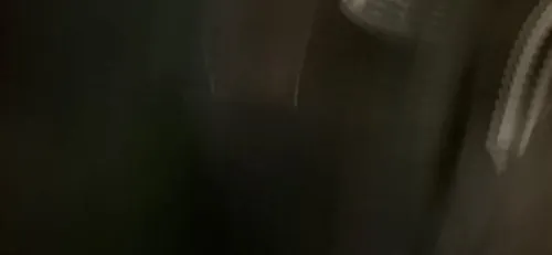 Hhhhh3367877