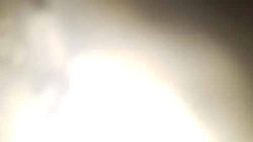 6677577655