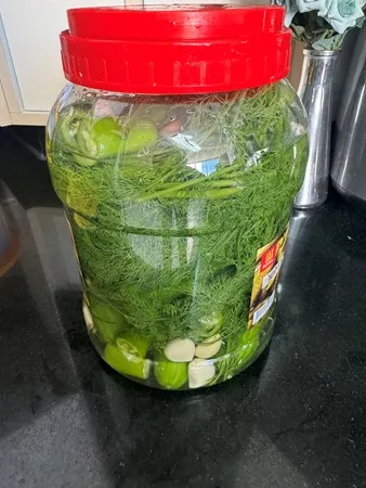 מנחימנוס