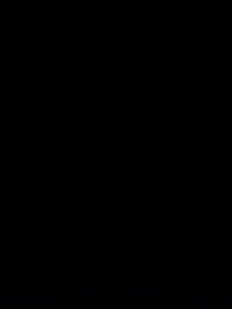 דוד 2001