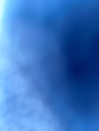 Mofeet