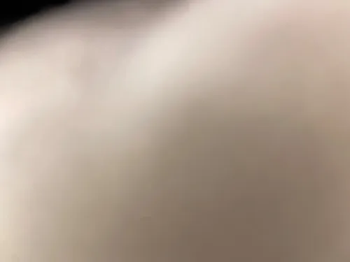 ابو لؤي