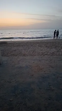 יוני אדם