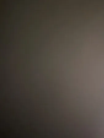 הנמר11111100