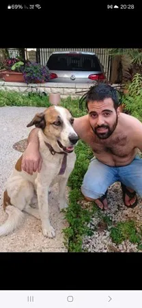 השור הזועם2103