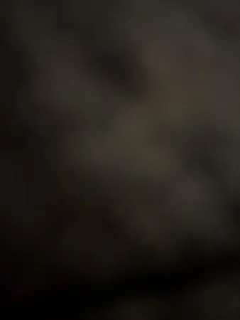 Guyguy123456
