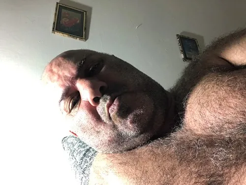 יוסי fox