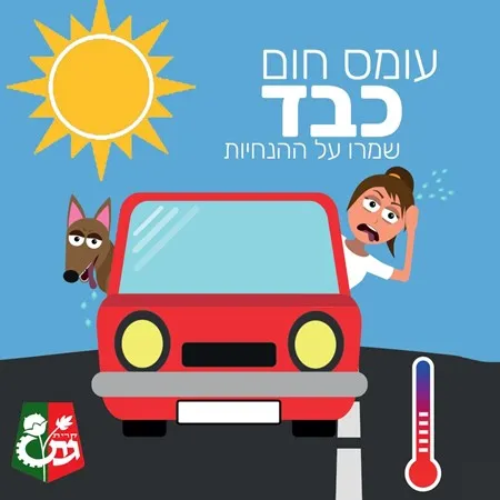 אביסידריסי ניתא