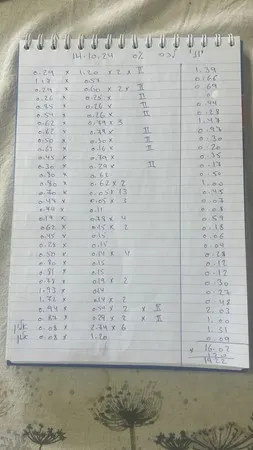 ابو اياد 