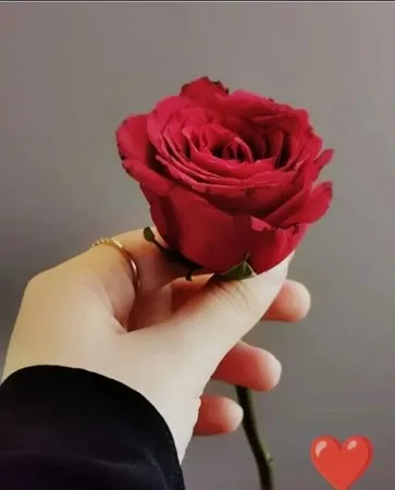  Hhhhh