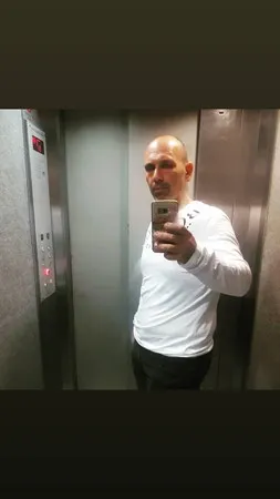 חתול שמיל 