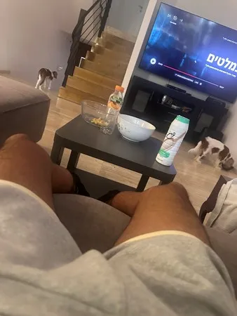 פרץ הגדול