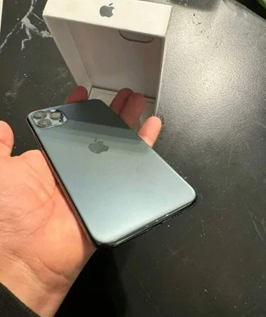 ذيب