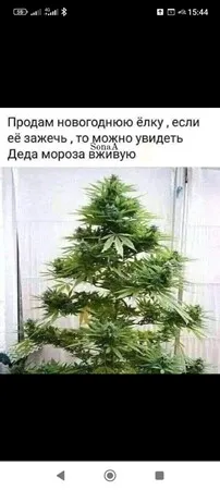 Alexxxx123