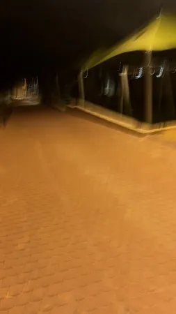 124עידו