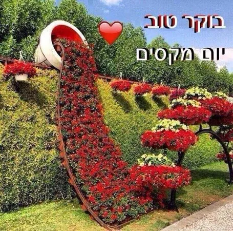 חמודה ממש