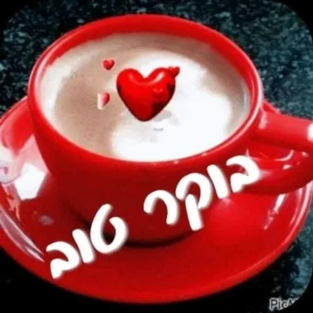 חברות פתוחה  אא