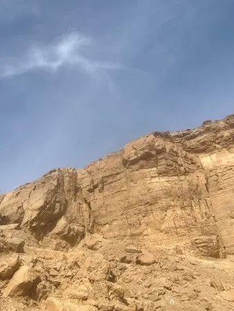 בן12345654