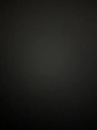 Adam _89998