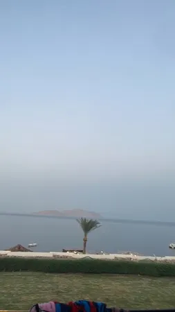 חיי לבי
