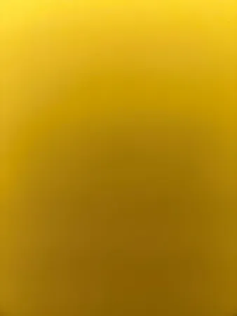 יהודה31