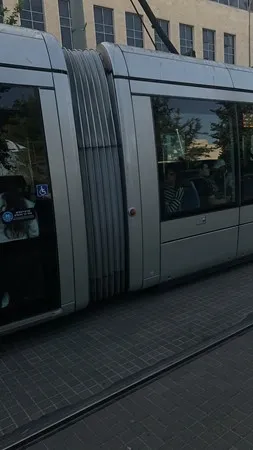 דודומ 
