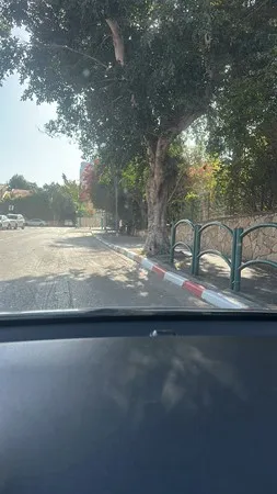גליייייייי