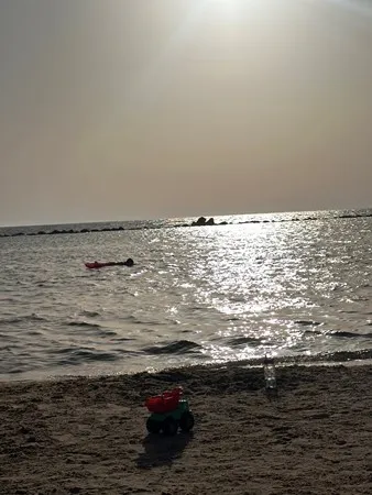 גרושה טריה 