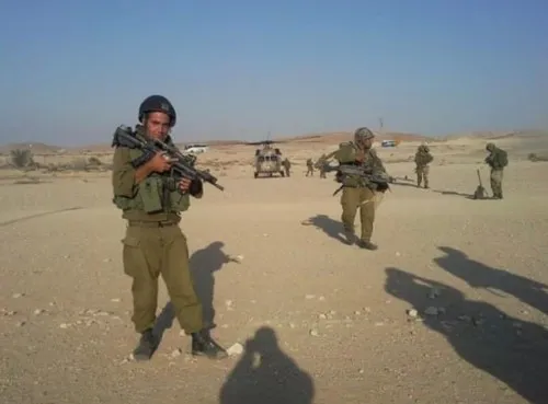 המלך113