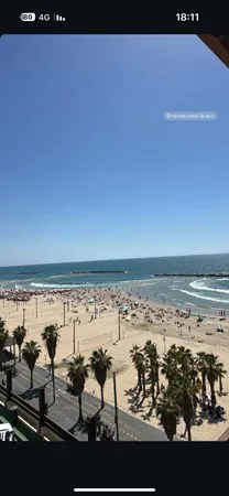 אביאל השולט