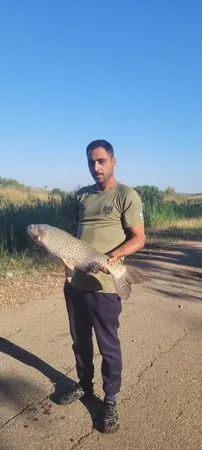 אלירז בוזגלו סב