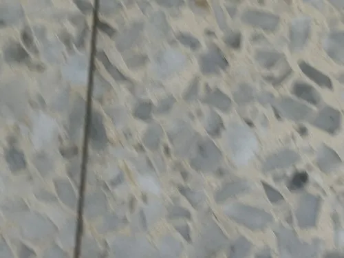 מיקי וג׳ו