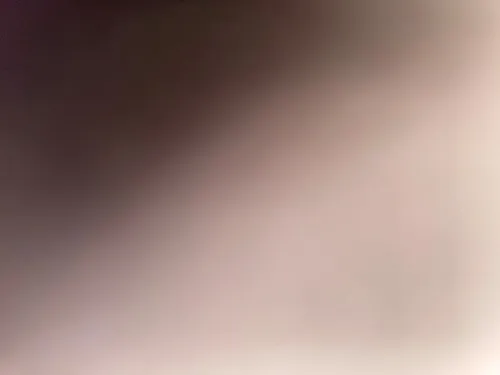 Alex122222