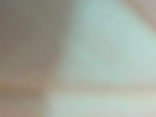 Hhfvbgdsssfggdd