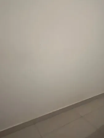אייריס