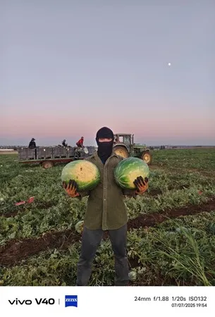Adisun