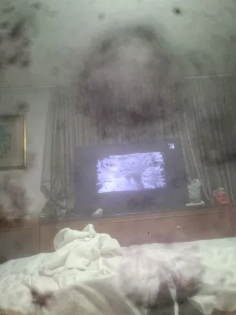 Patrik 11