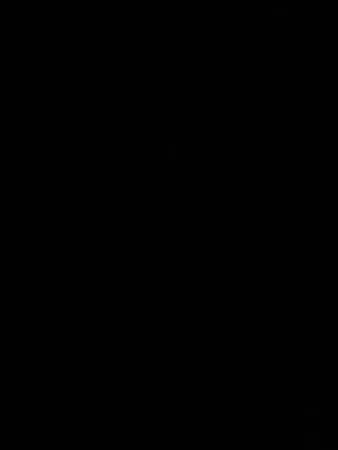 עילאי2025