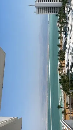 חזק שתלטן ומטרי