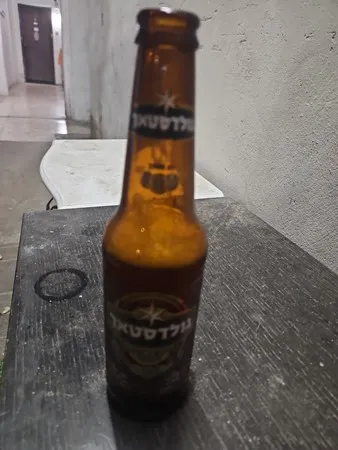 הנסיך המזיין